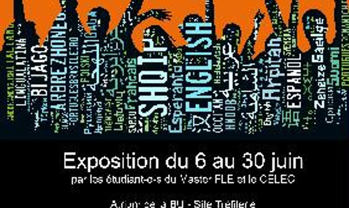 LA VOGUE DES LANGUES