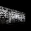 Silicium 1, 2019  Intervention architecturale sur façades en verre, impressions numériques sur backlit translucide du dessin Vue microscopique de cristaux de silice / Résidence Espaces f, festival PHOS, Complexe Joseph-Rouleau, Matane, Québec.