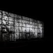 Silicium 1, 2019  Intervention architecturale sur fa&ccedil;ades en verre, impressions num&eacute;riques sur backlit translucide du dessin Vue microscopique de cristaux de silice / R&eacute;sidence Espaces f, festival PHOS, Complexe Joseph-Rouleau, Matane, Qu&eacute;bec.