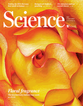 Magnard_cover_Science2015